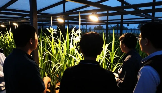 农业技术推广如何推动农产品产业升级